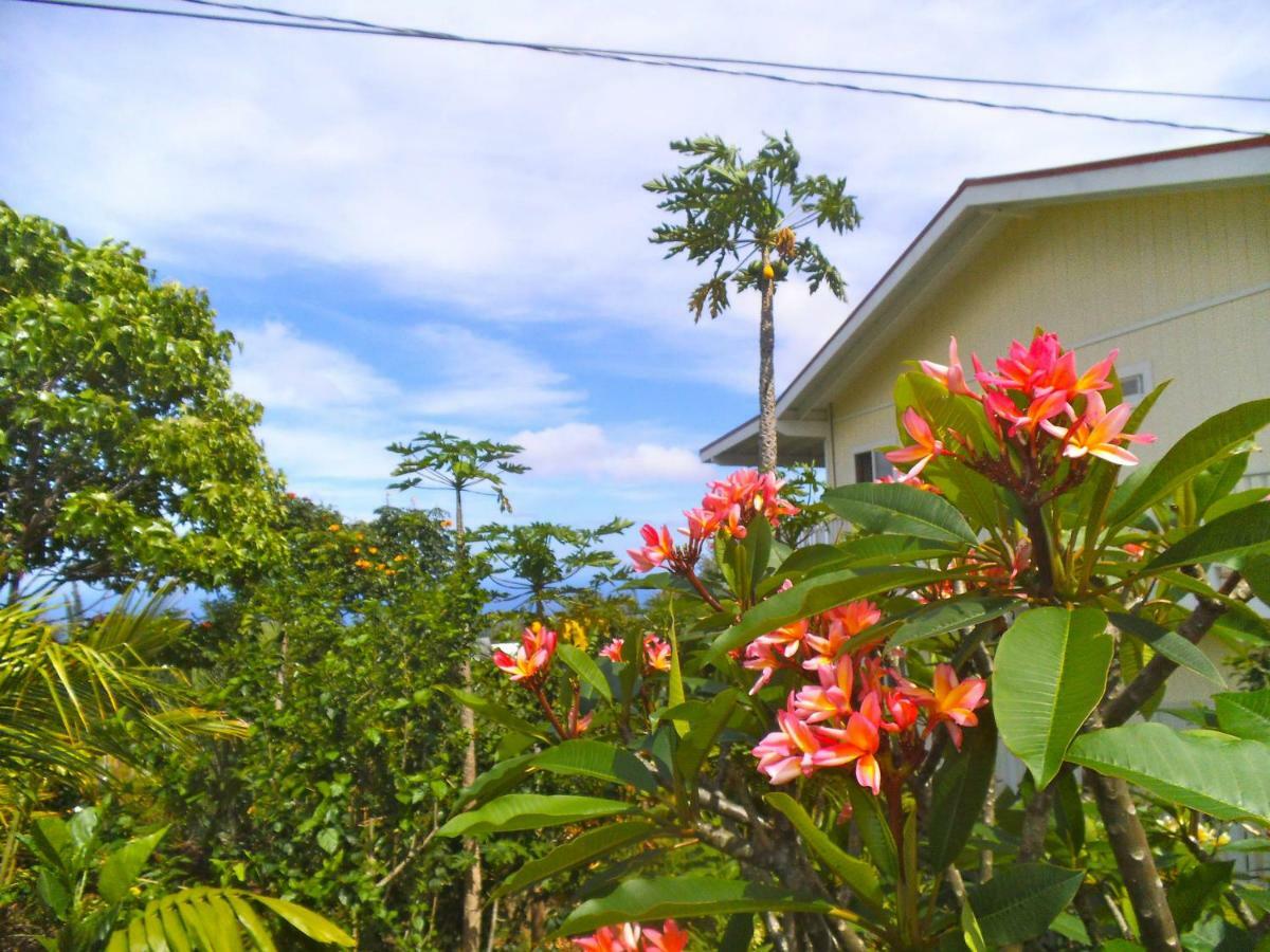 Bears' Place Guest House Kalaoa المظهر الخارجي الصورة